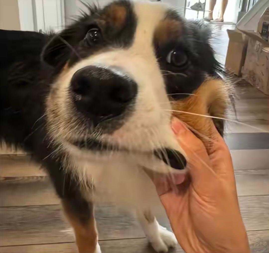 何时