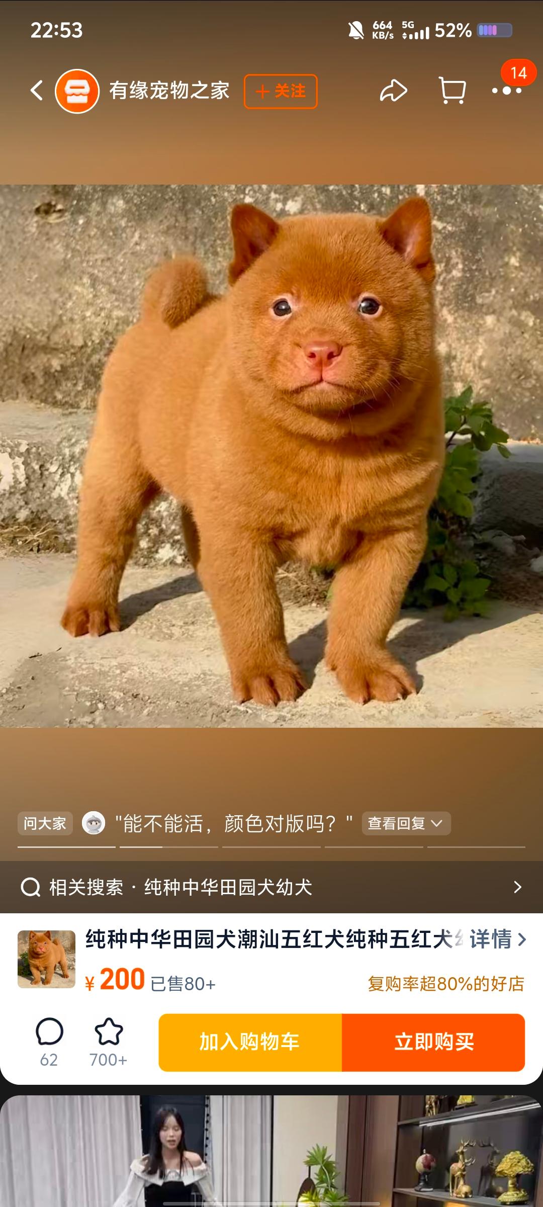 飞机