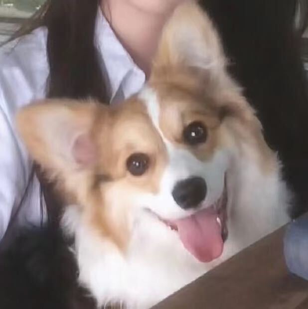 云吞