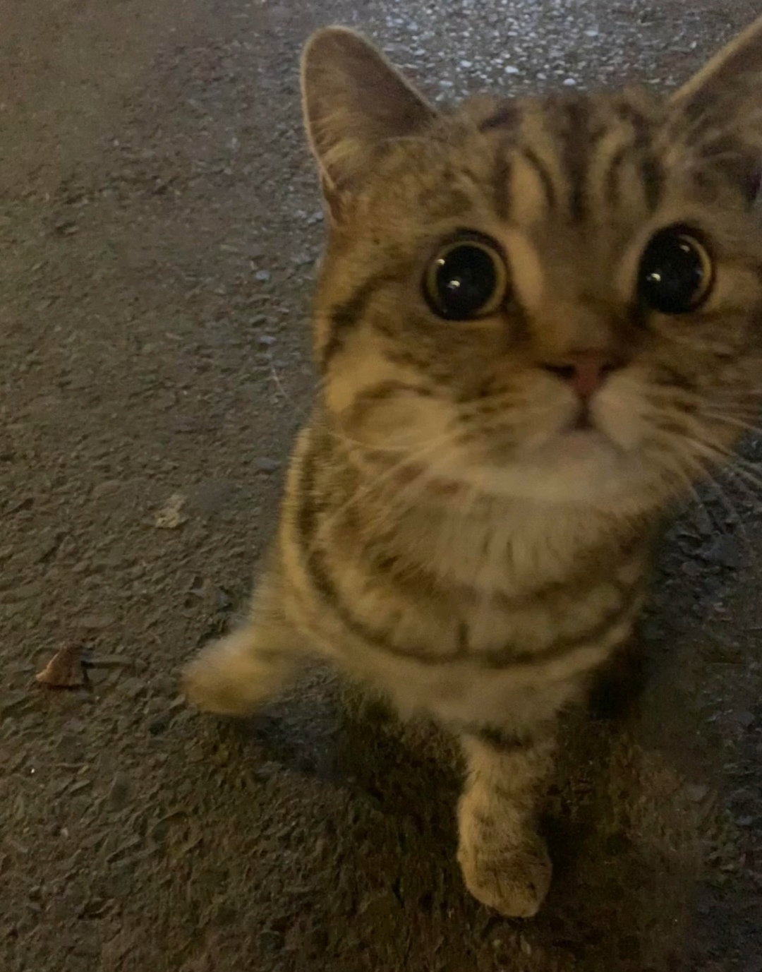 积分