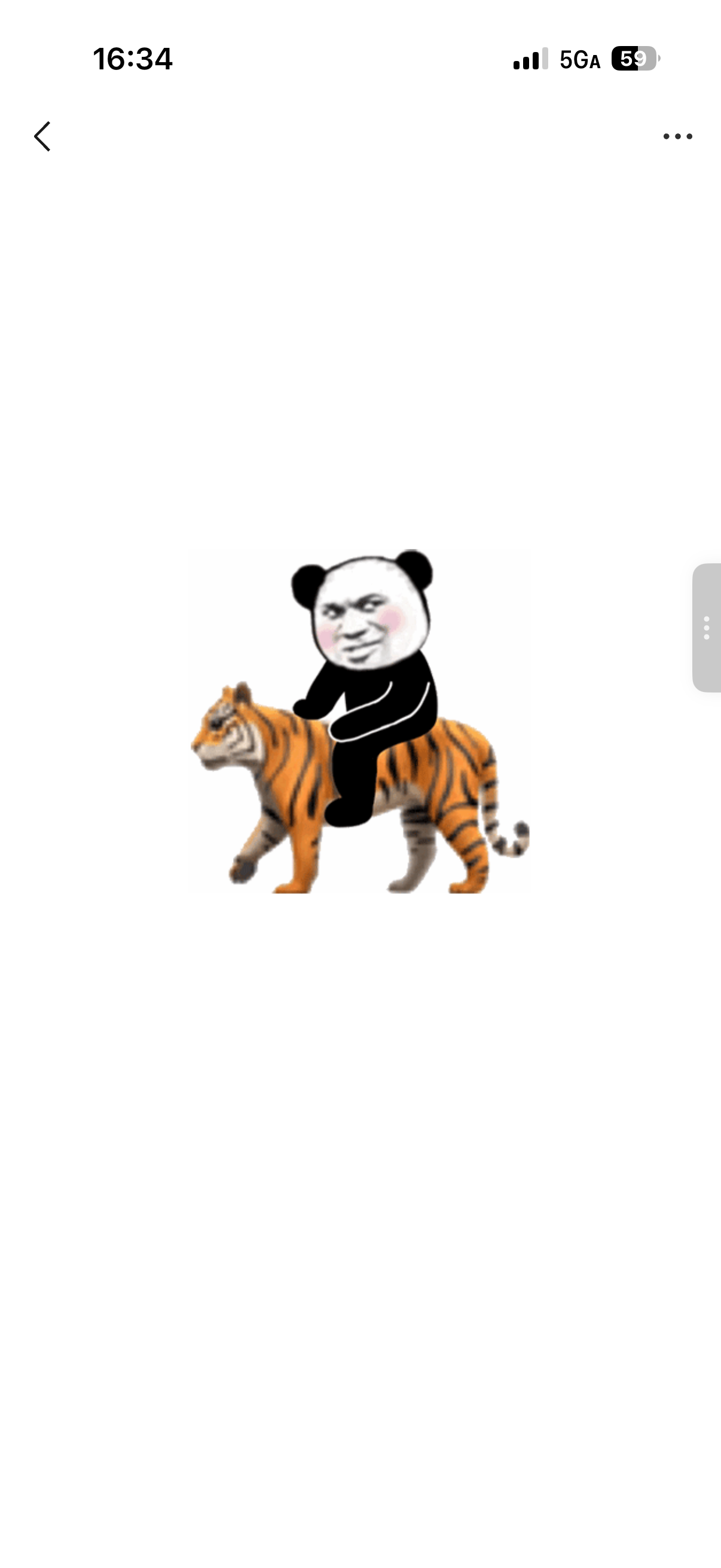 天书