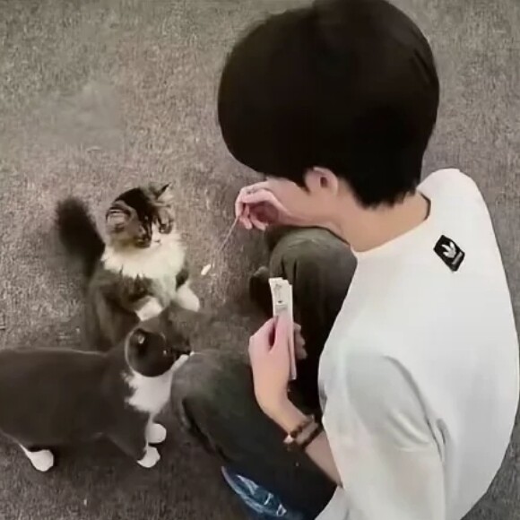 你嗨