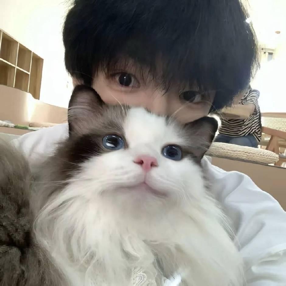 91小泽
